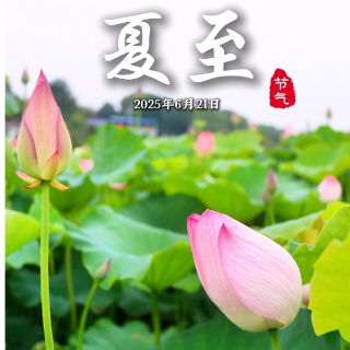 二十四节气海报｜夏至：立夏至 万物生