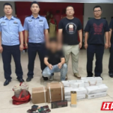  视频丨湘潭警方抓获敲车窗盗窃“老手” 