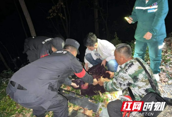泸溪：老人摔伤被困山林 警民深夜携手营救