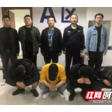 龙山公安严厉打击帮信犯罪活动 刑拘74人