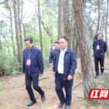 湘西州发放鲜花20万朵 守护全州清明节平安