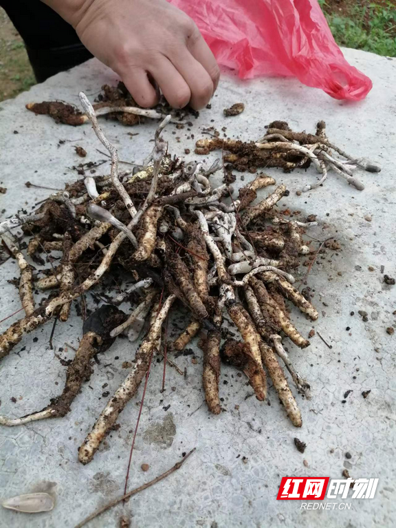 图片2.marked.png 图片2.marked.png