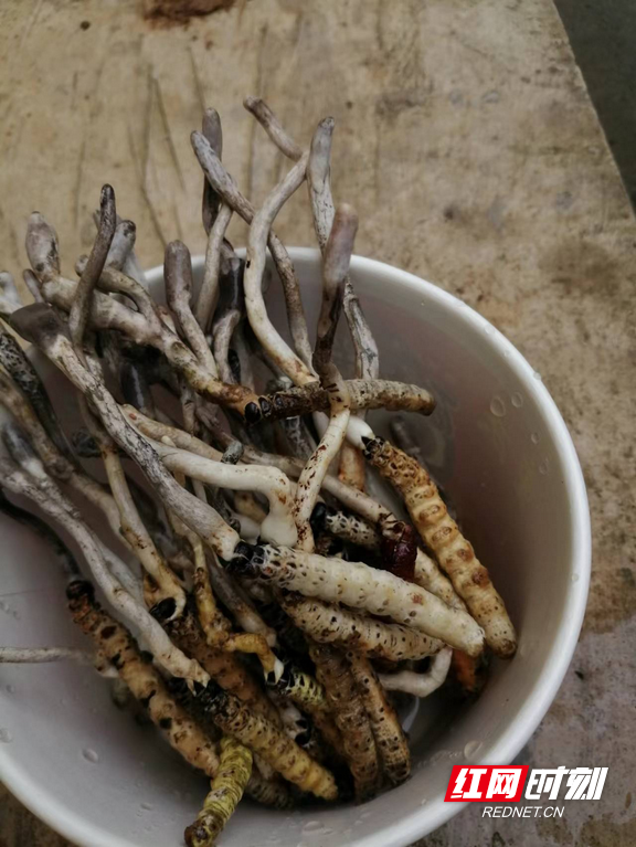 图片1.marked.png 图片1.marked.png