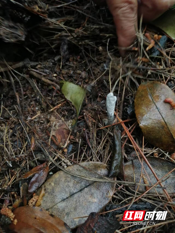 图片3.marked.png 图片3.marked.png