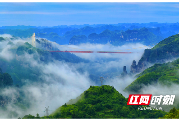 红色湘西丨吉首矮寨大桥：擦亮红色旅游名片 续写“矮寨不矮、时代标高”新篇章