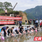 湘西：900万尾鱼苗“移民”酉水河