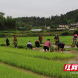 心成大爱报桑梓——记永顺县松柏米业王立斌扶危济困事迹