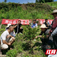 科普花开香满园 硕果累累全民享——龙山县创建全国科普示范县工作纪实