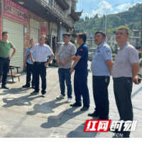 古丈：陈瑞带队督导县城重点区域经营性居民自建房安全鉴定工作