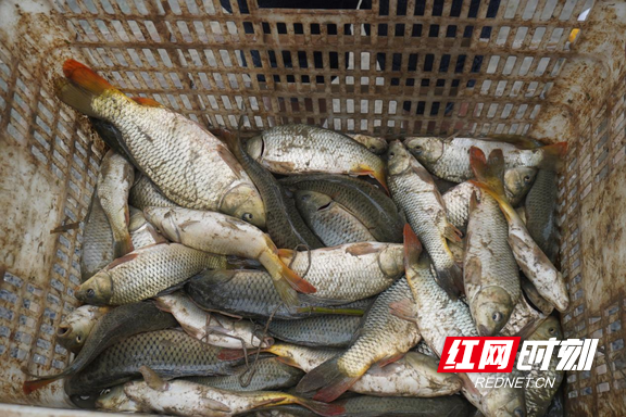 图片2.marked.png 图片2.marked.png