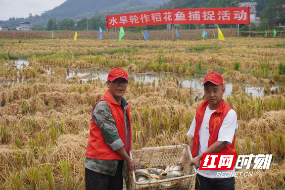 图片3.marked.png 图片3.marked.png