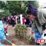 龙山：社会各界来到烈士陵园开展“学雷锋”主题月志愿服务