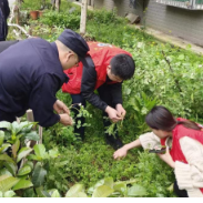 吉首公安：禁种罂粟铲除毒害 让“毒花”无处绽放