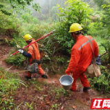 国网泸溪县供电公司：全力应对暴雨恶劣天气