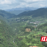 走进和美乡村·幸福庭院⑥丨保靖县阿扎河村：油茶产业助力乡村振兴  生态旅游连接幸福“天线”