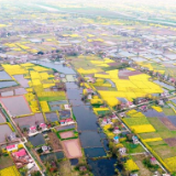 安乡全力推进幸福河湖示范河湖建设