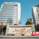 湖南澧水公司：高位推动精用水 蹚出高效节水路
