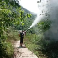 湘潭市林业局指导湘乡市马尾松毛虫防治工作