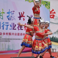 汇聚青春力量 助力乡村振兴——湖南水电职院开展暑期“三下乡”社会实践活动