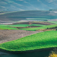 湖南省水利厅组织参加水利部水土保持工作视频会议