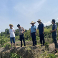 坚持底线思维 拧紧责任链条 青山垅灌区全力以赴打好打赢抗旱硬仗