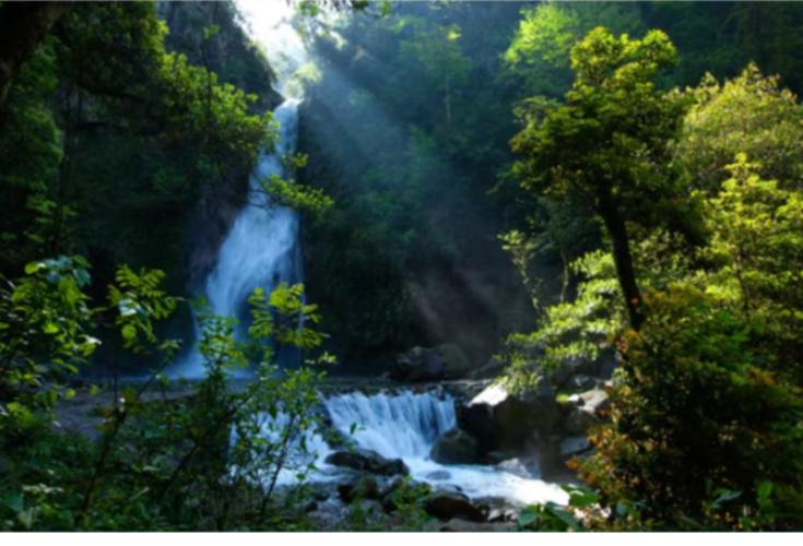 湖湘自然历丨清凉一夏：去亚洲第一氧吧，做一帘幽梦