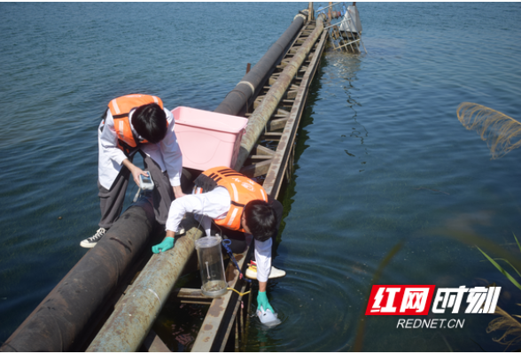 湖南水文：精准测报服务抗旱大局