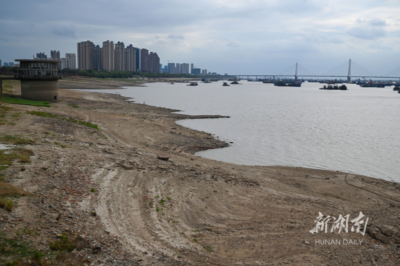 8月31日下午，岳阳市洞庭湖城陵矶站附近干旱露出大片的岸滩。7月以来，受干旱少雨、高温蒸发、来水严重偏少影响，洞庭湖水位持续下降，水面不断减小。截至8月31日23时，洞庭湖城陵矶站水位已降至21.13米，为有实测记录以来8月同期最低水位。湖南日报全媒体记者 郭立亮 摄