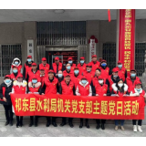 祁东县水利局开展“同心抗疫•温暖过年”主题党日活动