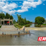 幸福河湖入画来——长沙县金井镇河长制工作纪实