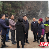 湖南省水利厅调研沅陵县抽水蓄能电站建设