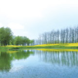 为了洞庭水清鱼肥