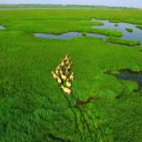 深度聚焦 | 牢记殷殷嘱托，谱写洞庭新篇