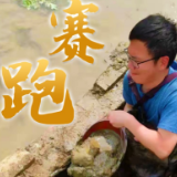 劳动节海报 | 8个瞬间，致敬三湘大地护“水”者