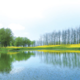 长江委规计局组织召开推进洞庭湖四口水系综合整治工程可研工作视频会议