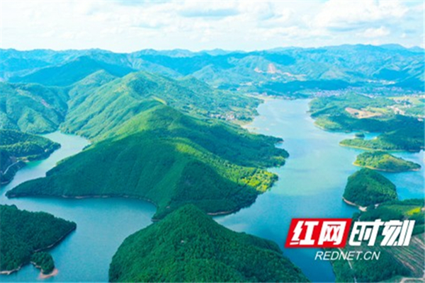 金陵水库水波荡漾，水质清澈，鱼翔浅底，景色迷人。_副本.jpg