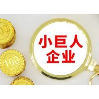 新增53家！培育“小巨人”企业，长沙有一套