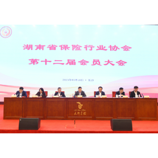 湖南省保险行业协会顺利换届 刘霞当选会长 张军智当选监事长  