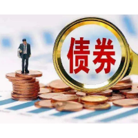 1-2月中国发行新增地方政府债券10677亿元