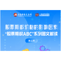 股票期权 | 股票期权价格的影响因素