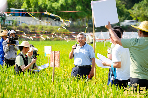 隆平高科水稻首席专家、种业科学院院长杨远柱介绍新品种.jpg