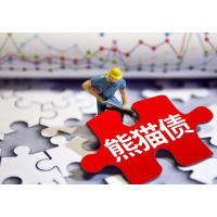 熊猫债热度为何攀升