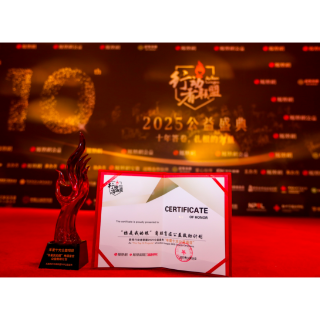 “你是我的眼”角膜盲症公益救助计划荣获行动者联盟2025公益盛典“年度十大公益项目”