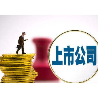 优化上市公司信息披露制度
