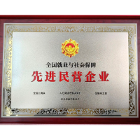 盐津铺子荣获“全国就业与社会保障先进民营企业”称号