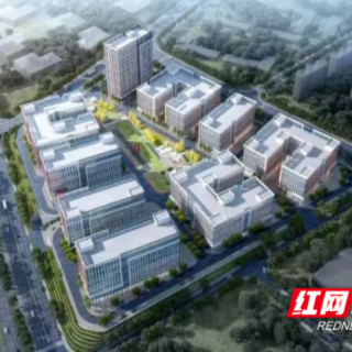 省政府通报表扬！芙蓉区2项典型经验做法上榜