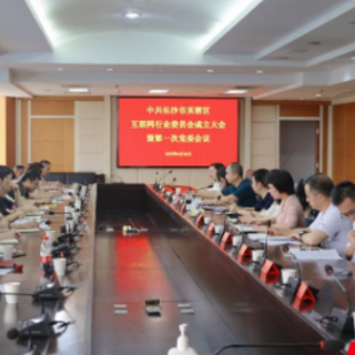 芙蓉区召开互联网行业党委成立大会暨 第一次党委会议