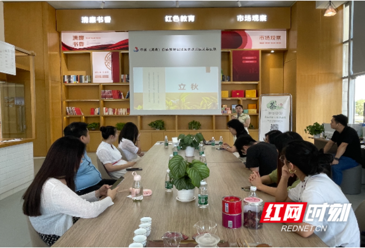 自贸芙蓉区块茶艺沙龙活动“韵味十足”
