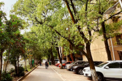 走找想促丨党建引领激活基层治理“神经末梢”,圭塘街道打通服务群众的“最后一公里”