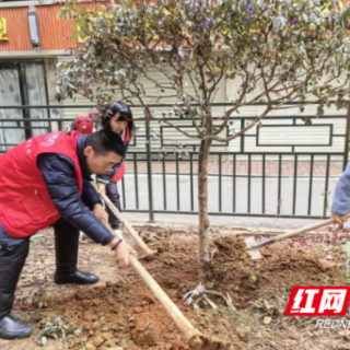 植一抹绿色，溢一片春光